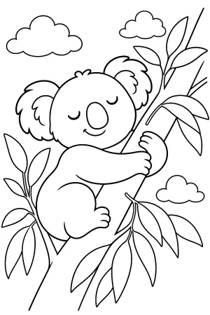 Ein Koala schläft kuschelnd an einem Ast.