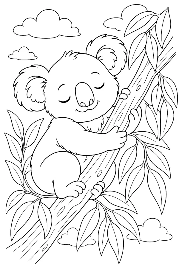 Koala kuschelt an einem Eukalyptusast und hat die Augen geschlossen.
